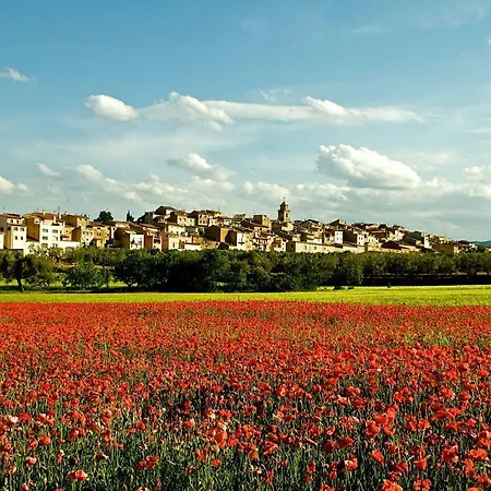 Dom wakacyjny Casa Oryza *